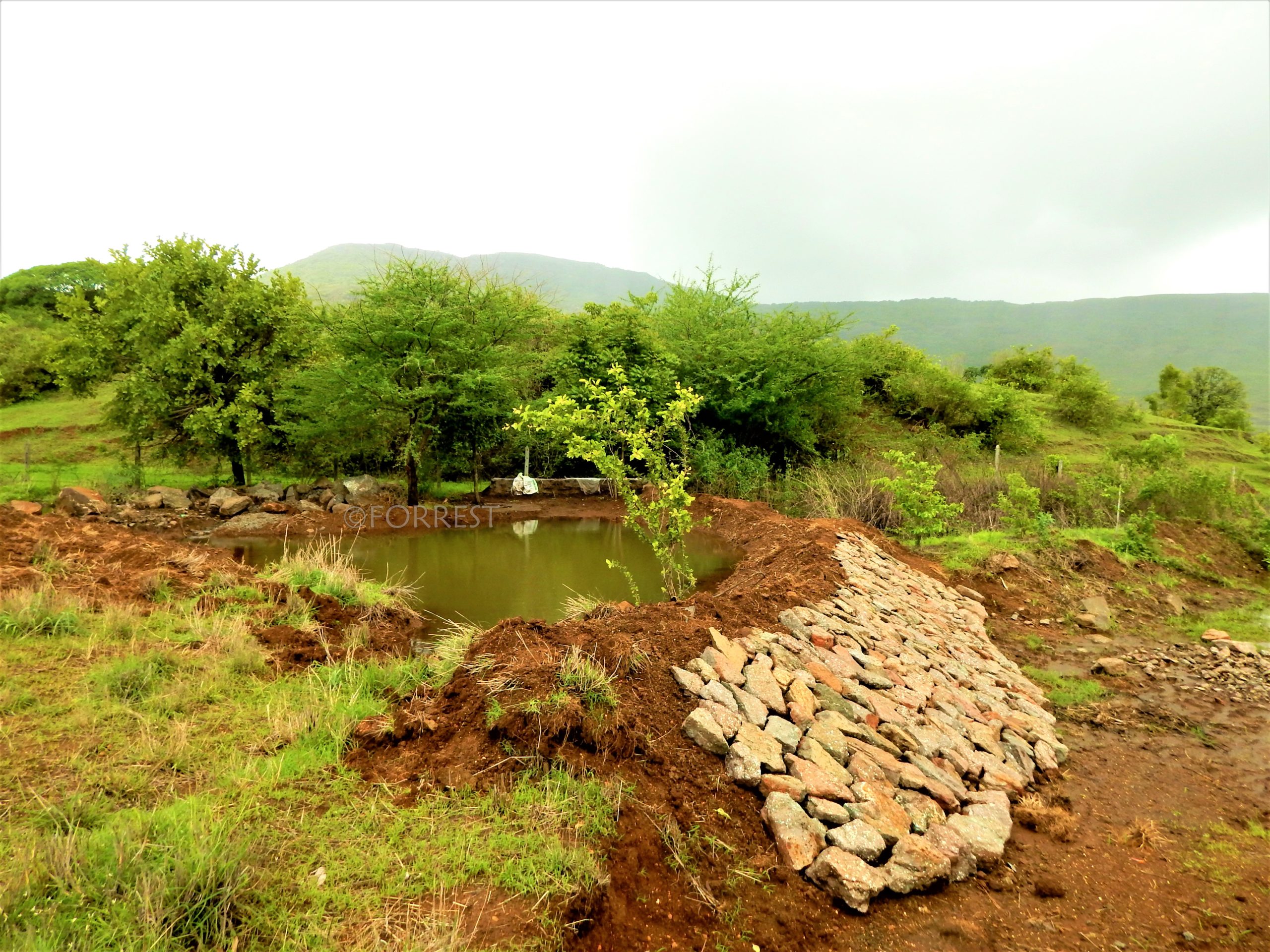 Water body conservation efforts